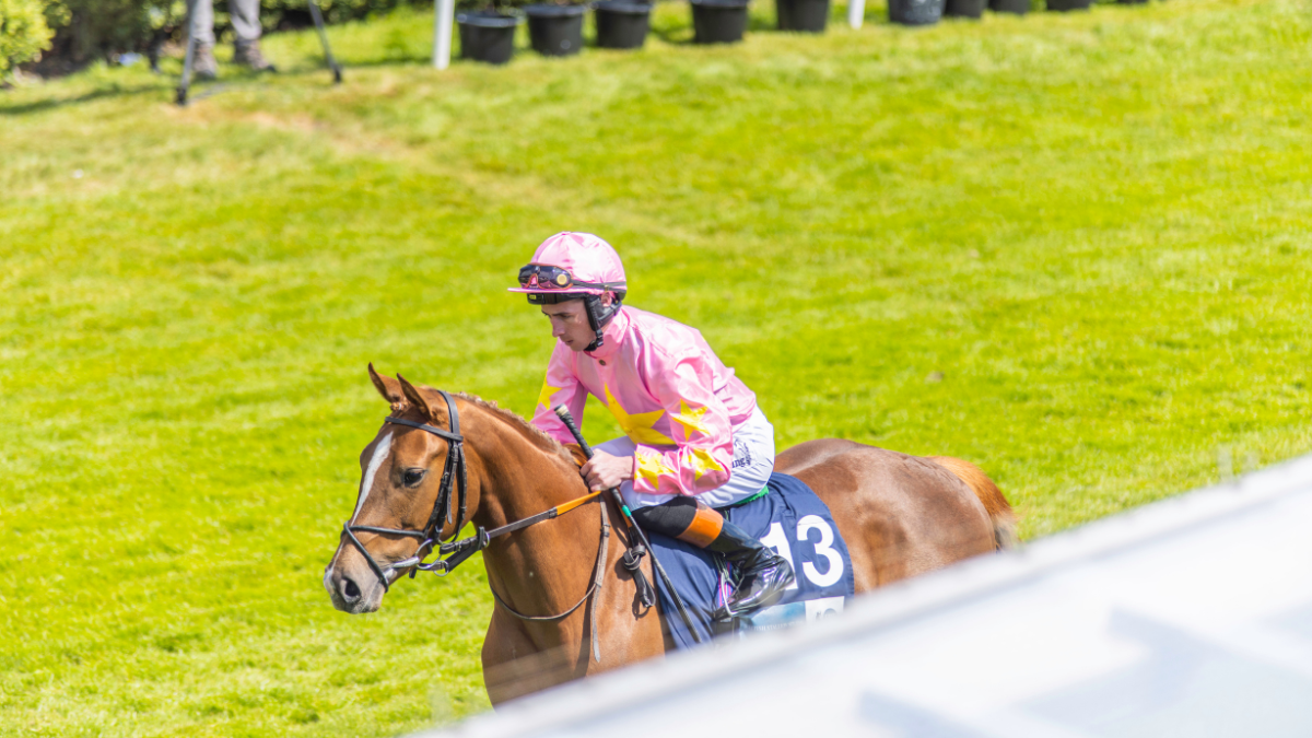 https://crc-api.netfuel.co.uk/equine-welfare-to-the-fore-at-chester-racecourse/ thumbnail image