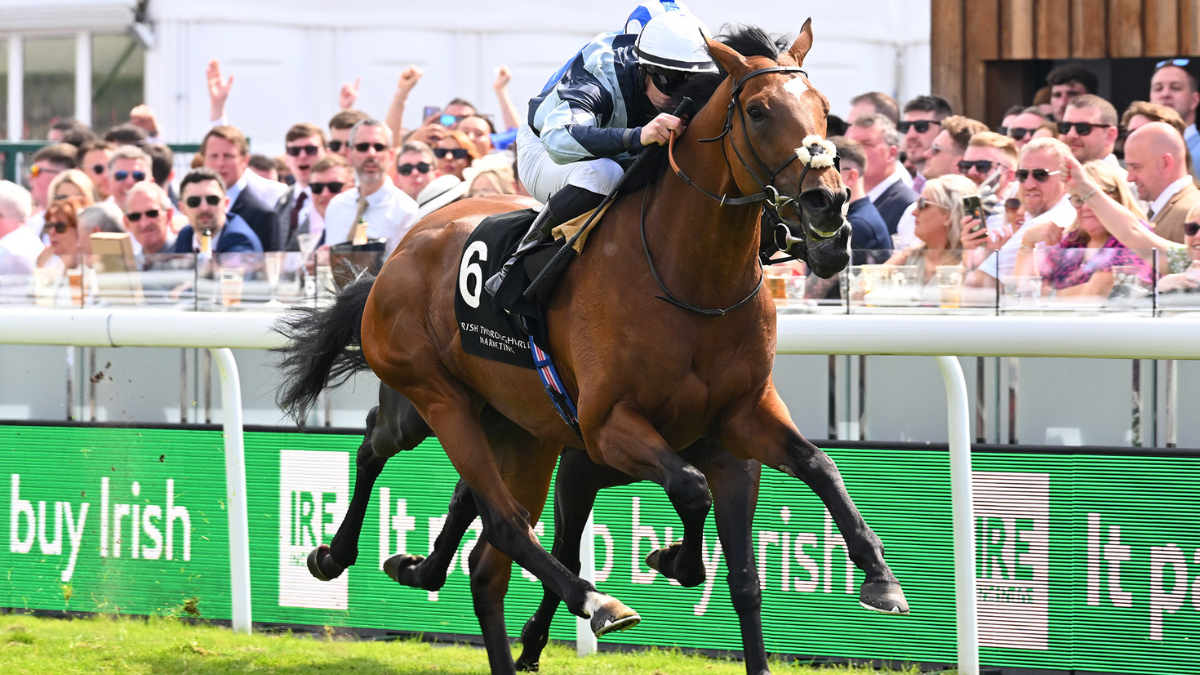 https://crc-api.netfuel.co.uk/palmer-excited-about-zoffees-return-to-ladbrokes-chester-cup/ thumbnail image