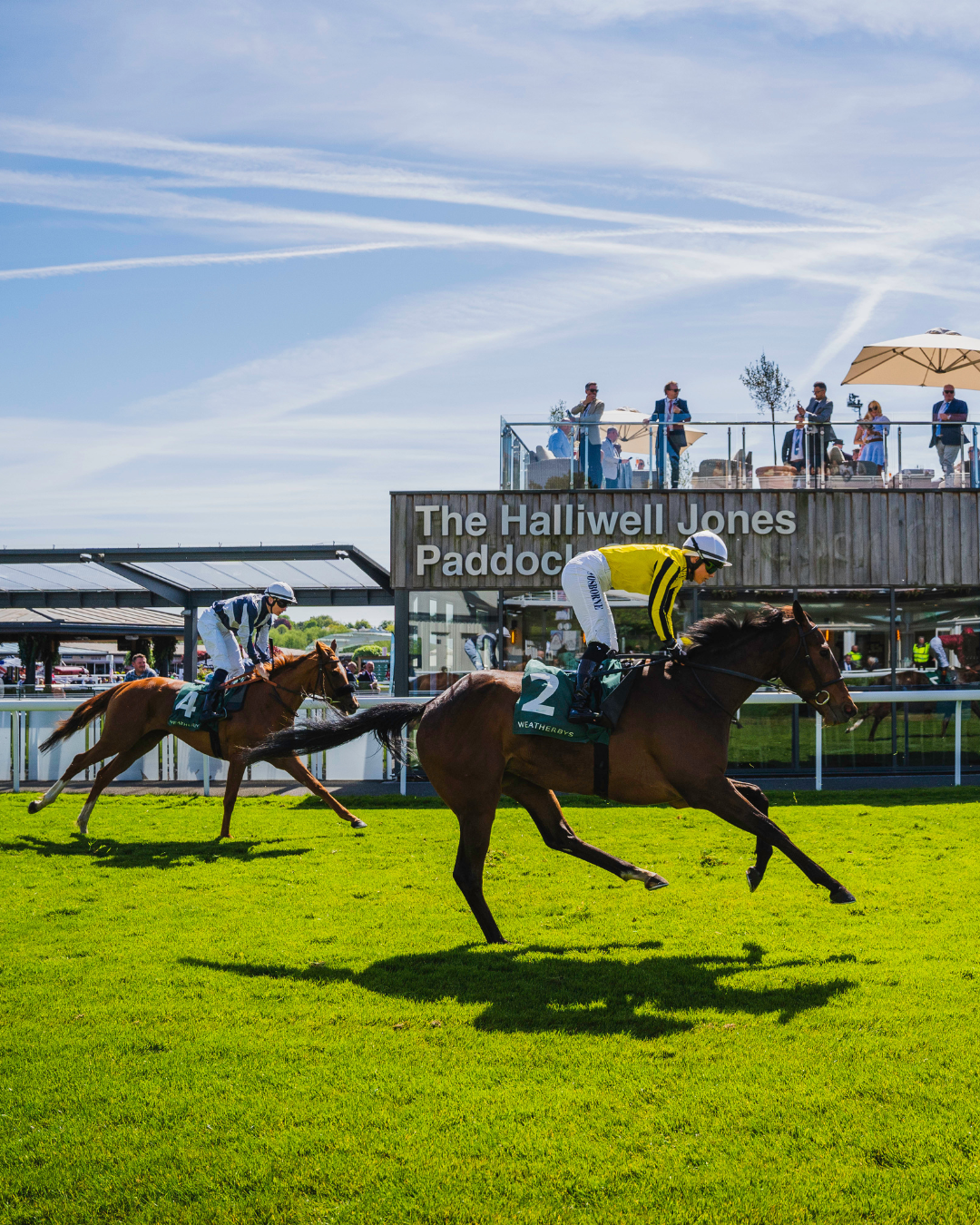 The Halliwell Jones Paddock Club Gallery