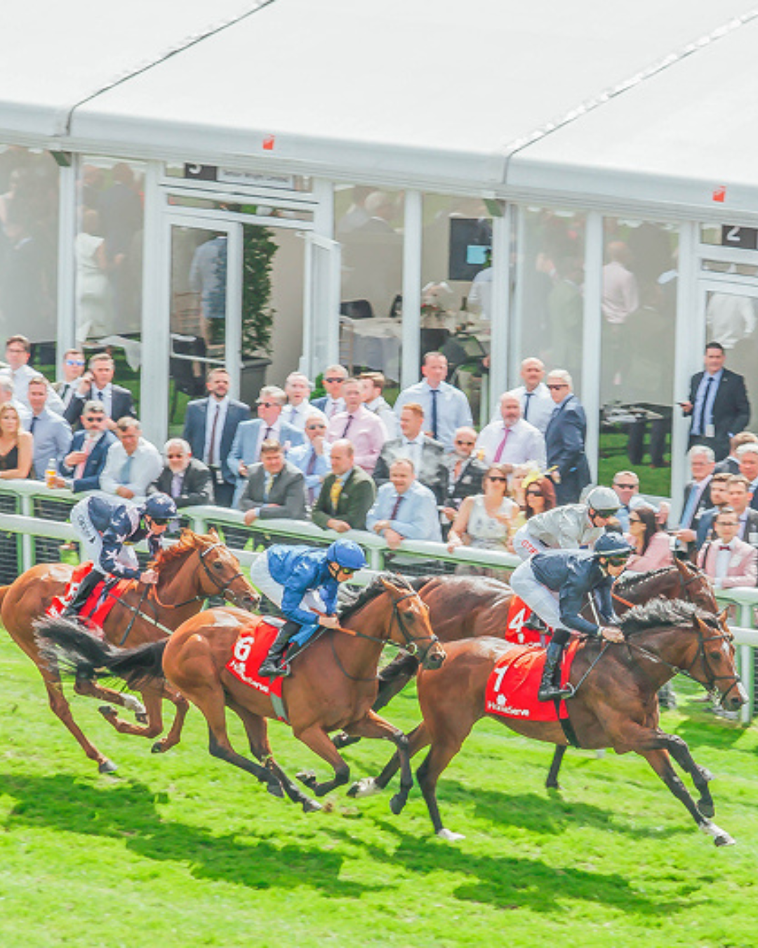 Festival Chalets Highlights