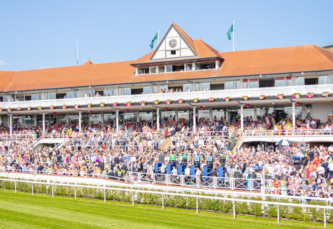 Tattersalls Highlights