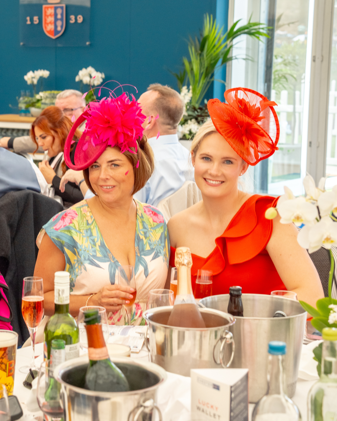 Final Furlong Highlights