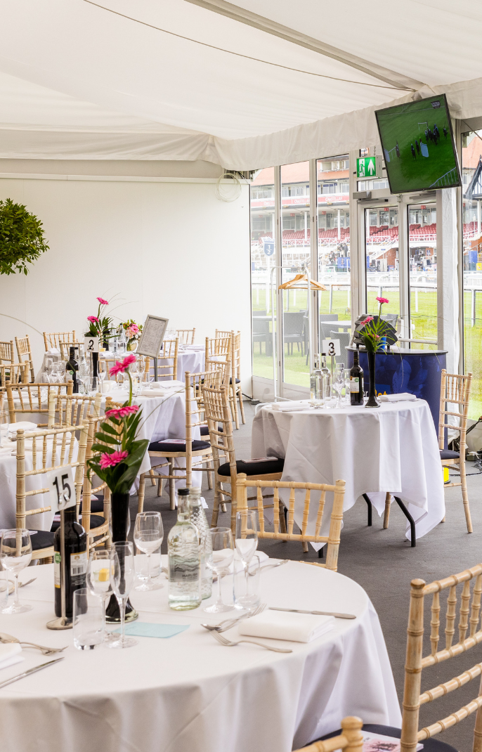 Festival Chalets Highlights