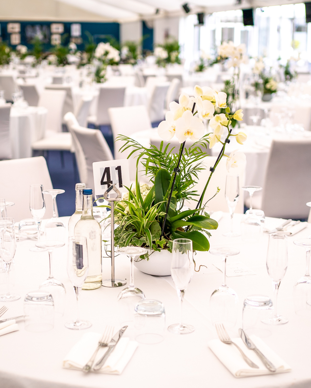 Final Furlong Gallery