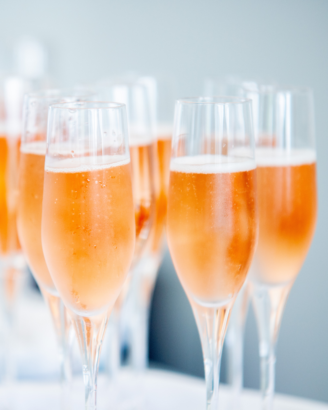 Festival Chalets Highlights