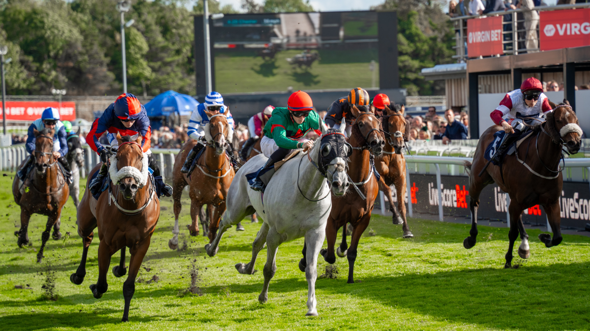 Autumn Festival 2026