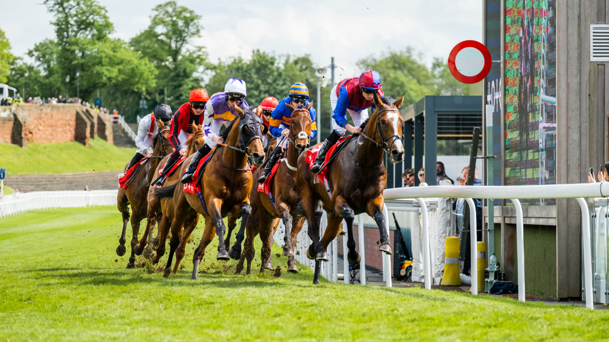 https://crc-api.netfuel.co.uk/chester-racecourse-named-one-of-top-10-racecourses-for-raceday-experience-in-england-and-wales/ thumbnail image